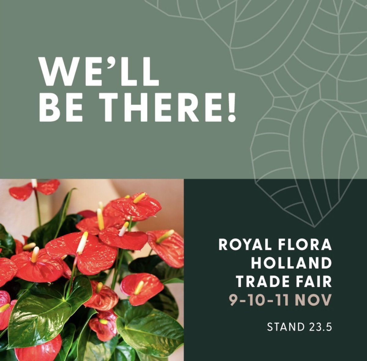 Vanaf morgen bent u van harte welkom op de FH Trade Fair in Aalsmeer!