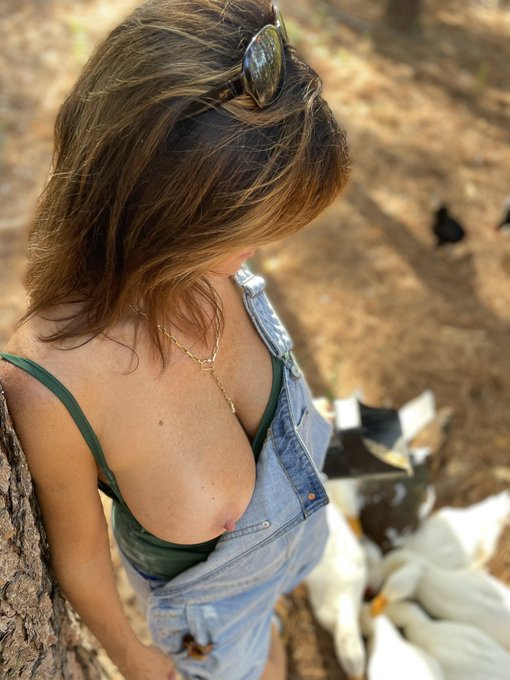 Back to feeding the animals. https://t.co/C0sSFbDPLu