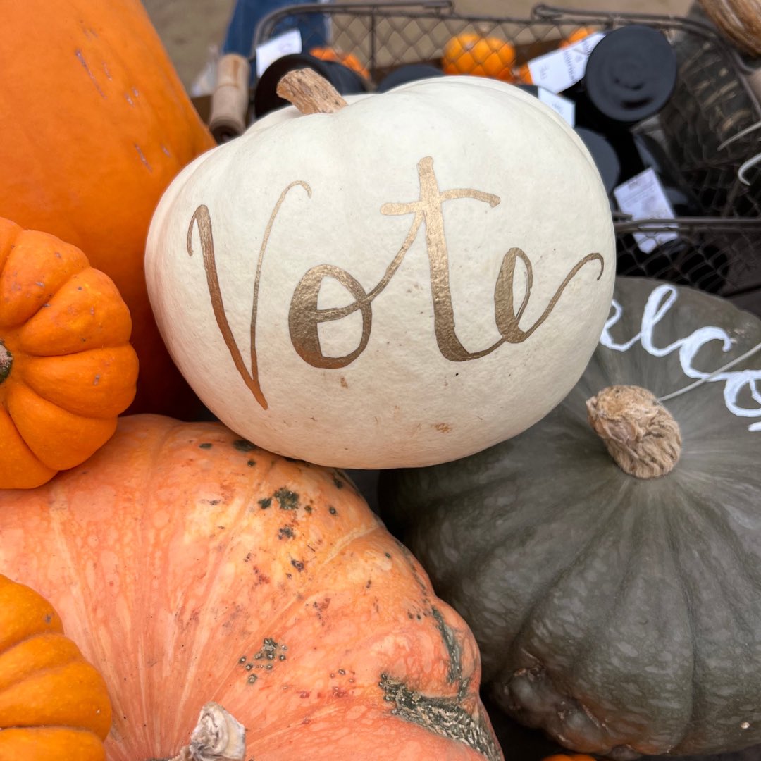 bennybarco's tweet photo. "Democracy is not a spectator sport." - Marian Wright Edelman #Vote https://t.co/UBrXnSo2JM
