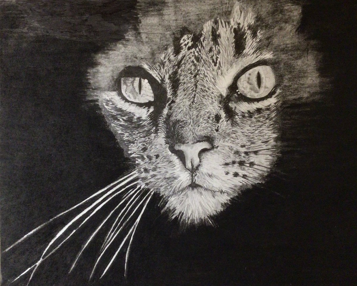 1/1 OC
0.03 ETH

New collection 
The domestic cats is also a predator . 
opensea.io/assets/ethereu…