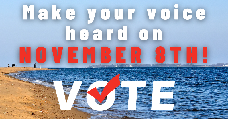 ChooseCleanH2O's tweet photo. DYK that if the polls close while you’re still in line, you still have the right to vote? Stay in line and cast your ballot. If you run into problems, call the Election Protection Hotline at 1-866-OUR-VOTE or 1-888-VE-Y-VOTA. #VoteforCleanWater https://t.co/e3Nc40QwYU