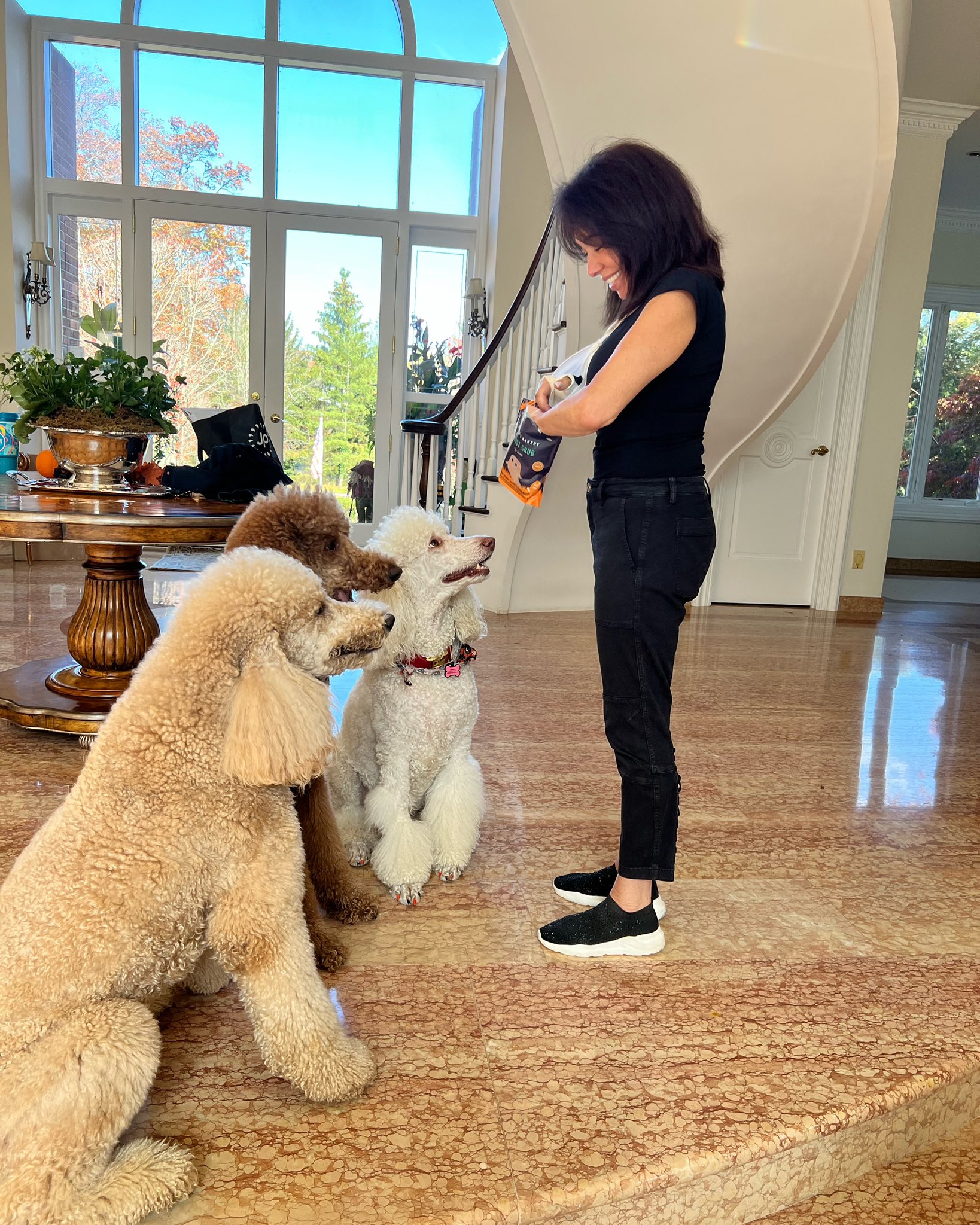 Jeanine Pirro on Twitter "Red, Ted and Stella got a treat for voting