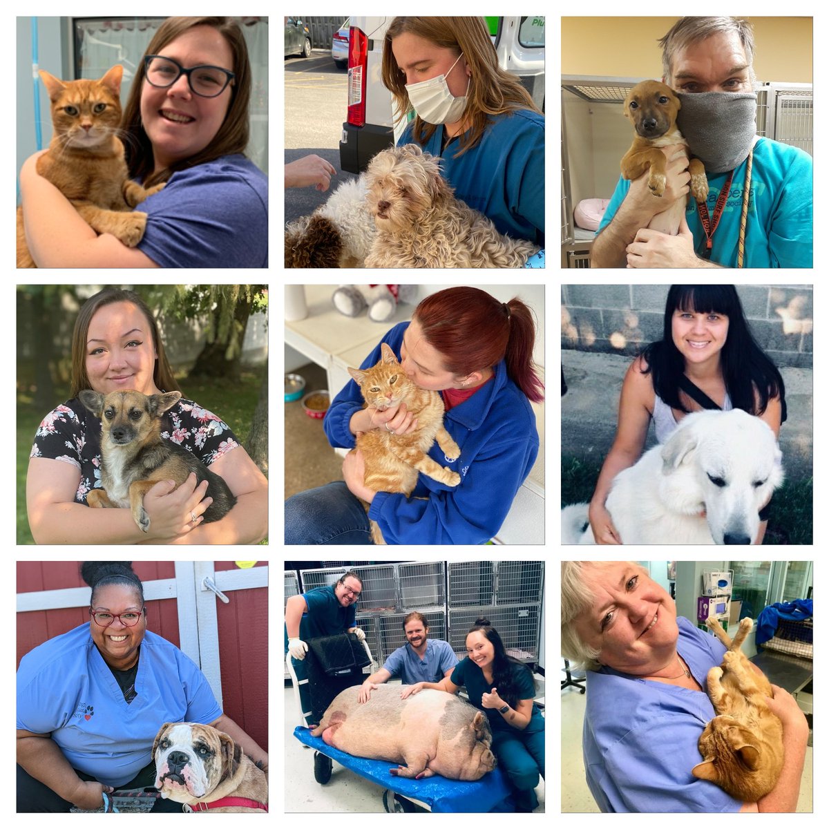 Lexington Humane (@lexingtonhumane) on Twitter photo It's Animal Shelter Appreciation Week, sponsored by <a href="/MetLife_Pet/">MetLife Pet Insurance</a>!
Today and every day we are so incredibly grateful for the amazing people who are dedicated to helping the animals in our community. Please take a moment to thank our team for their hard work and dedication! 🐾 It's Animal Shelter Appreciation Week, sponsored by <a href="/MetLife_Pet/">MetLife Pet Insurance</a>!
Today and every day we are so incredibly grateful for the amazing people who are dedicated to helping the animals in our community. Please take a moment to thank our team for their hard work and dedication! 🐾