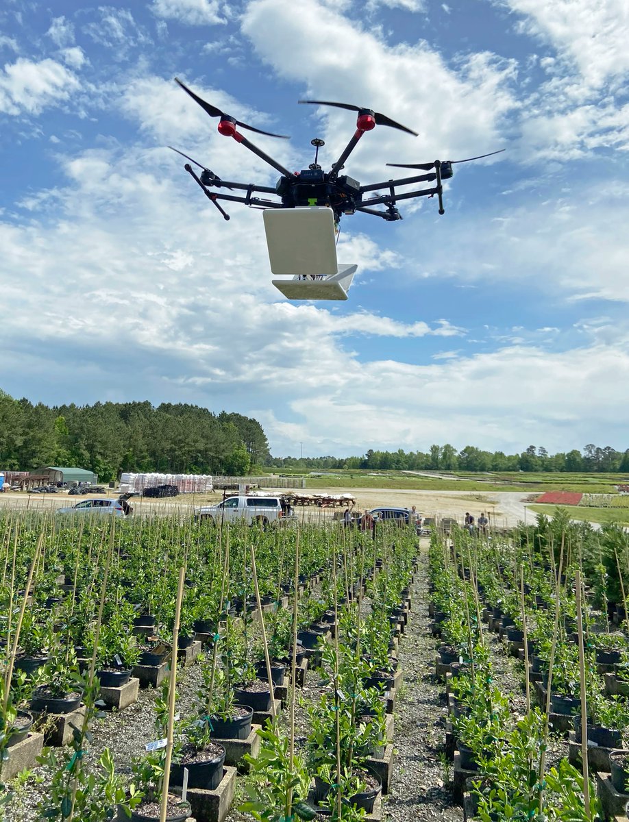 MRFImpacts's tweet image. “Remote sensing” with #drones offers a promising new way to characterize landscapes, individual plants/animals &amp;amp; stressors like pests. See how award-winning multistate research &amp;amp; Extension are helping farmers use drones: bit.ly/Drones-Ag 

📷 Joe Maja/ @ClemsonCAFLS