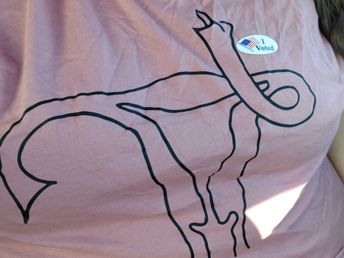 If I wanted the government in my uterus, I'd fuck a senator. #Vote #RoeRoeRoeYourVote #IVoted #IVotedBlue