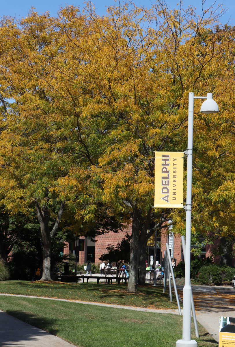 AdelphiU's tweet image. This or That: #AutumAtAdelphi or #WinterAtAdelphi ?