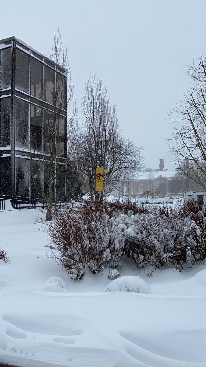 AdelphiU's tweet image. This or That: #AutumAtAdelphi or #WinterAtAdelphi ?