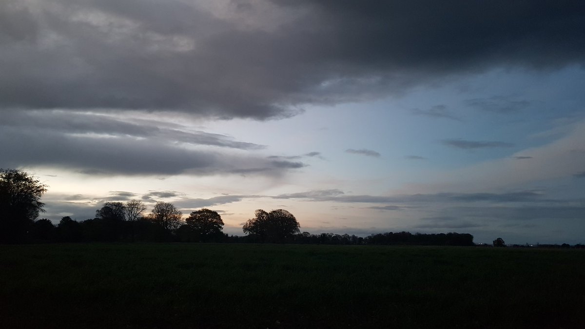 battybirder's tweet photo. Impromptu dusk stroll at @NewhailesNTS this evening - at least one wee #pipistrelle on the wing. Didn't plan the walk so no detector on me 🤦‍♀️ 
#lovebats https://t.co/mnz3PAVtSi