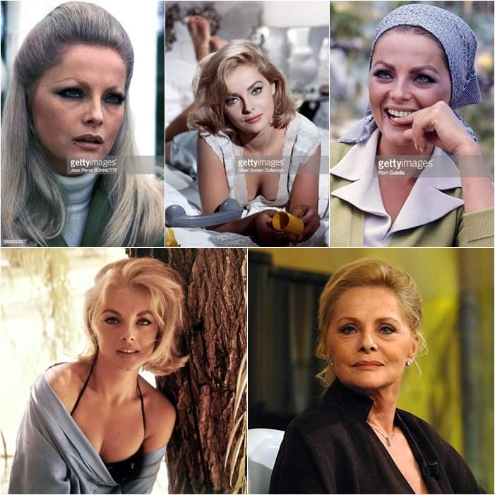 barbaravitali2's tweet photo. Remembering #VirnaLisi November 8,1936_December 18,2014 (Age 78) #HowToMurderYourLife #AssaultOnAQueen https://t.co/3VLNzI3ore