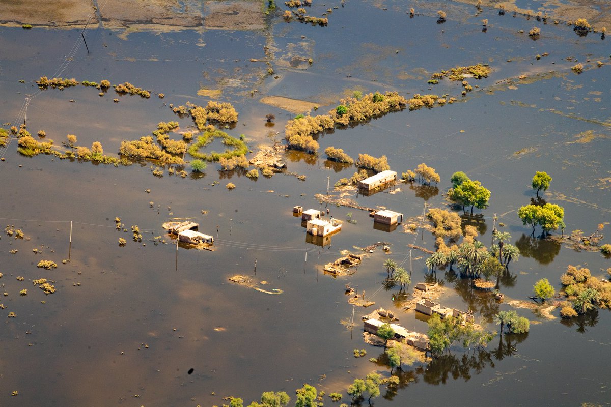 antonioguterres's tweet image. Those that have contributed least to the climate crisis are being hit first &amp;amp; hit hardest.

At #COP27, I&apos;m calling on all world leaders to prioritize support to the most vulnerable through bold long-term commitments and action.