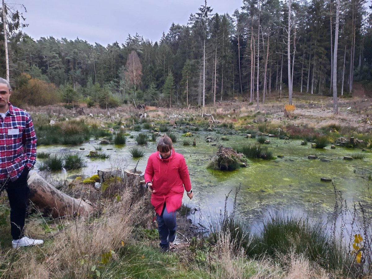 CarbonConnects's tweet photo. Excursion to Burgwald Münchhausen during the partner meeting in Marburg, interesting learning material for Carbon Connects partners! 

#CarbonConnects #PeatlandMatters https://t.co/fJArIkcTMe