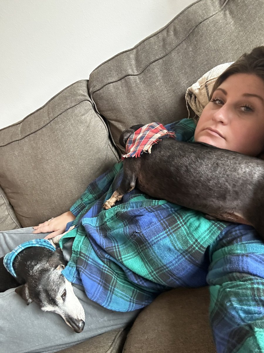 caandaace2's tweet image. fighting for cuddles to agreeing to cuddle each other while cuddling me