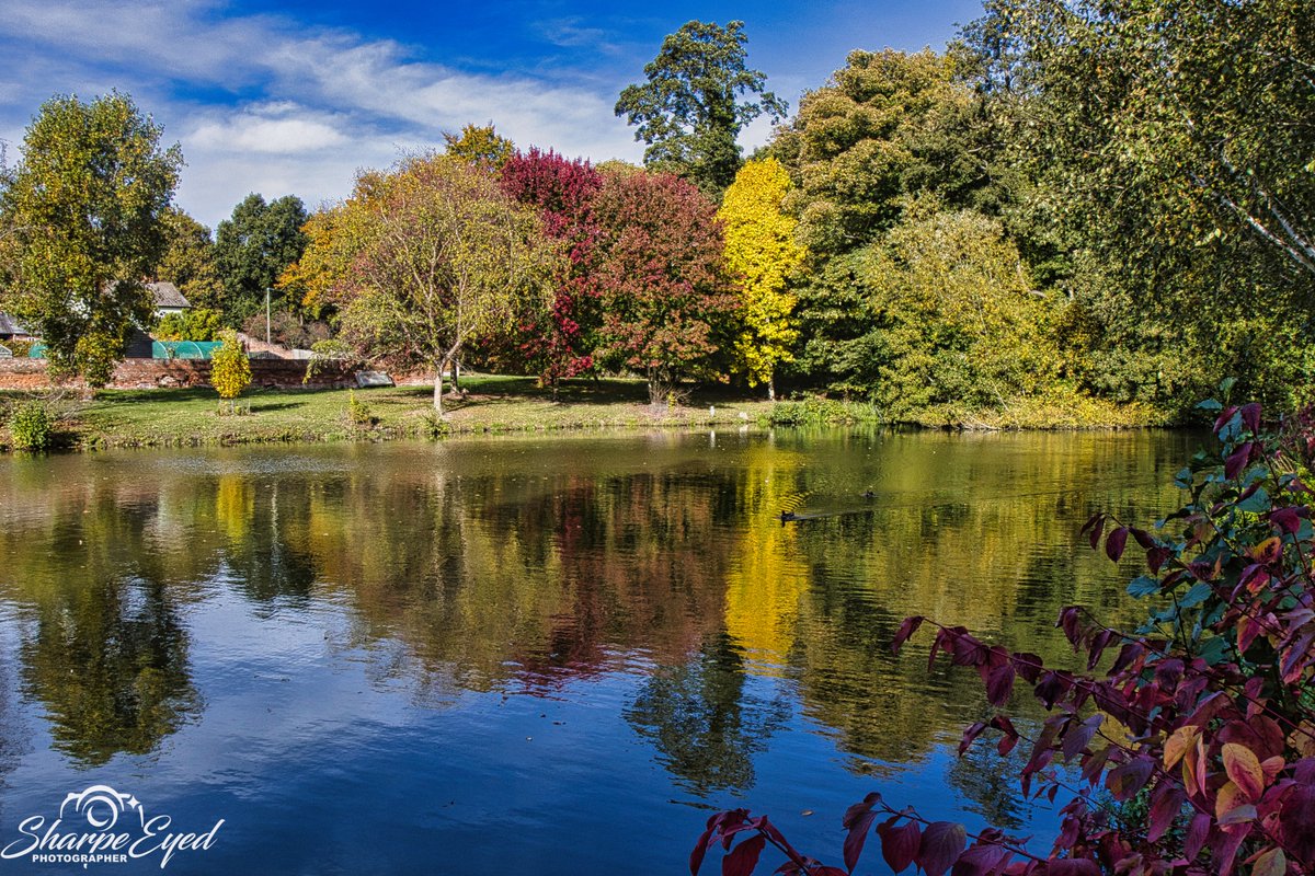 Autumn reflections!! #markshallestate #reflections #REFLECTION #Reflections #NaturePhotography #nature #Serenity #photography #photo #photooftheday #essex #eastanglia #countryside #Lake #lakelife