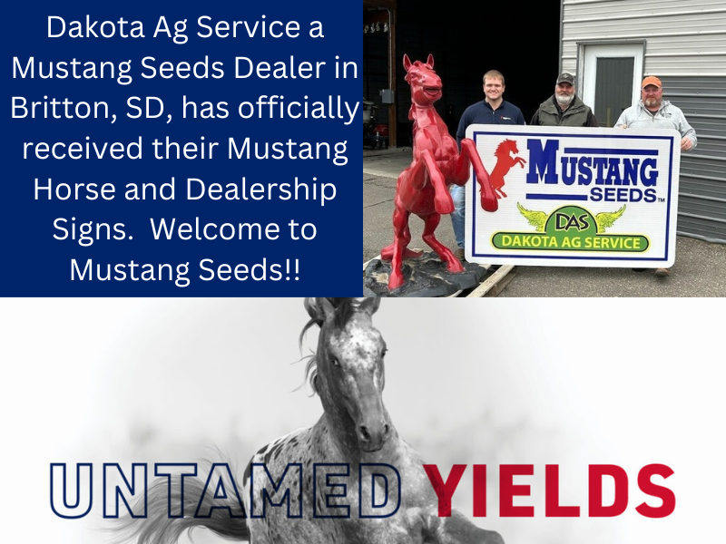 MustangSeeds (@mustangseedsinc) on Twitter photo 