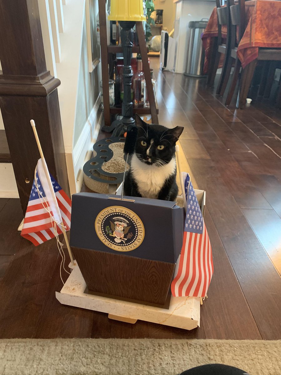 DontShowYourCat's tweet photo. proof that your vote matters https://t.co/lzv6NNe0Me