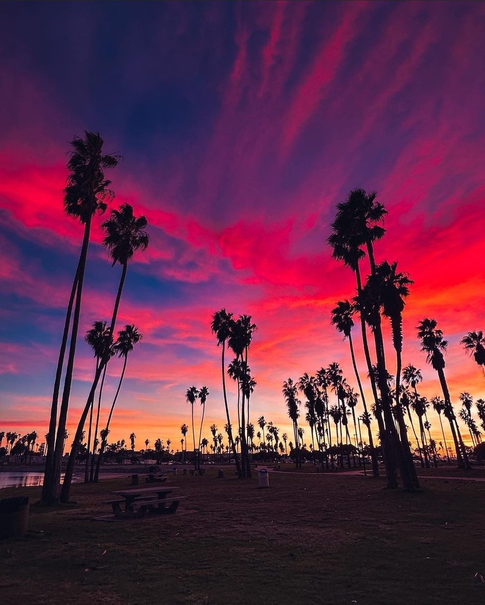 Good evening  💫 💜