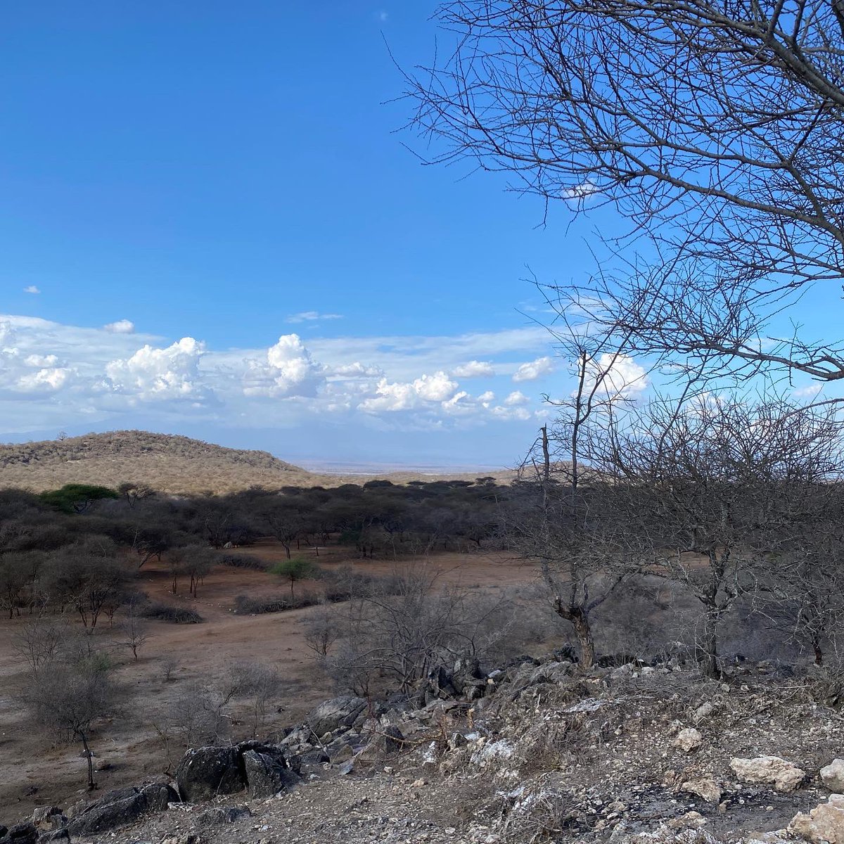 tanzanitesource's tweet photo. Tanzanite Source MD @nagib_omar at the #greengarnet mines in kimwengani, #mererani, #tanzania
#tanzanitesource #mines
Follow @tanzanitesource for Gems & Jewelry https://t.co/mS480K5Onb