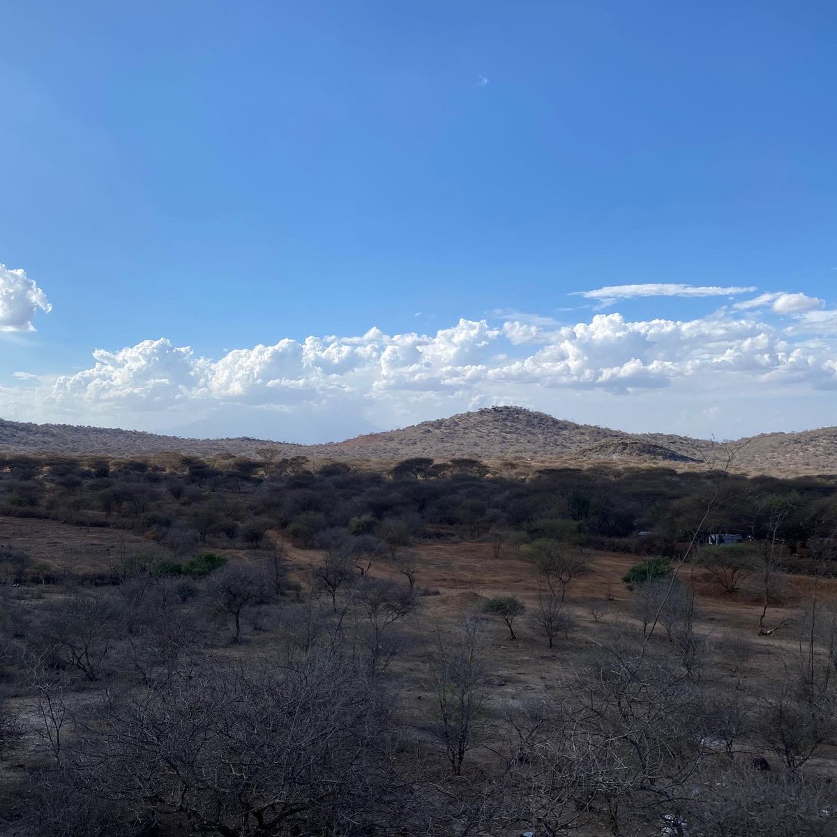 tanzanitesource's tweet photo. Tanzanite Source MD @nagib_omar at the #greengarnet mines in kimwengani, #mererani, #tanzania
#tanzanitesource #mines
Follow @tanzanitesource for Gems & Jewelry https://t.co/mS480K5Onb