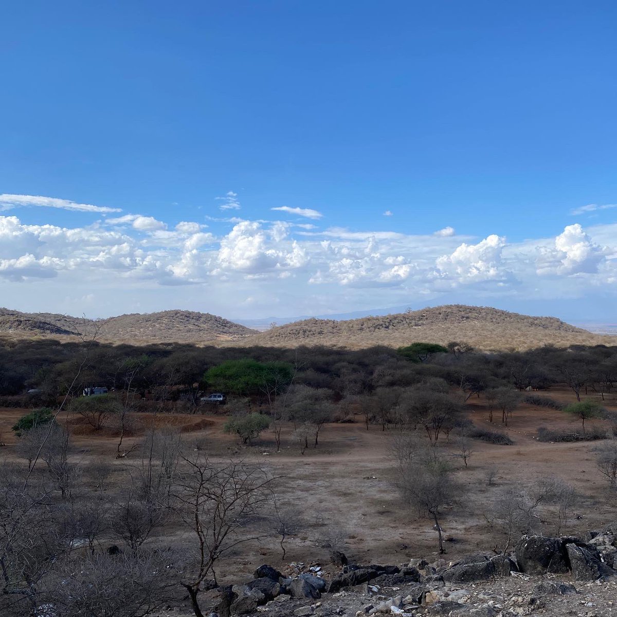 tanzanitesource's tweet photo. Tanzanite Source MD @nagib_omar at the #greengarnet mines in kimwengani, #mererani, #tanzania
#tanzanitesource #mines
Follow @tanzanitesource for Gems & Jewelry https://t.co/mS480K5Onb
