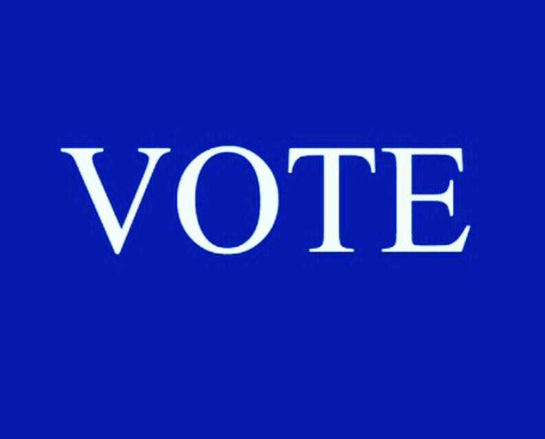 NoraTerzo's tweet photo. #VoteBlueToSaveDemocracy #VoteBlueToday #VoteBlue #Vote https://t.co/MBeqdIi9X6