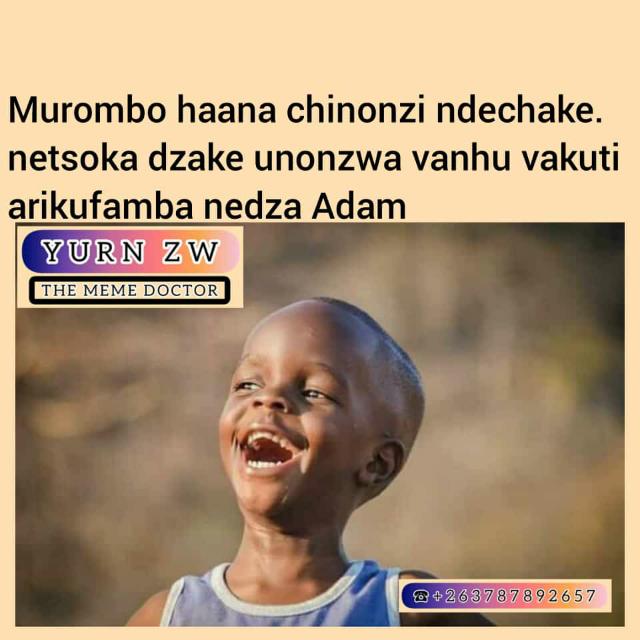 terrystaff32's tweet photo. Saka changu chiii muhupenyu??? https://t.co/KAWvpPQuRy