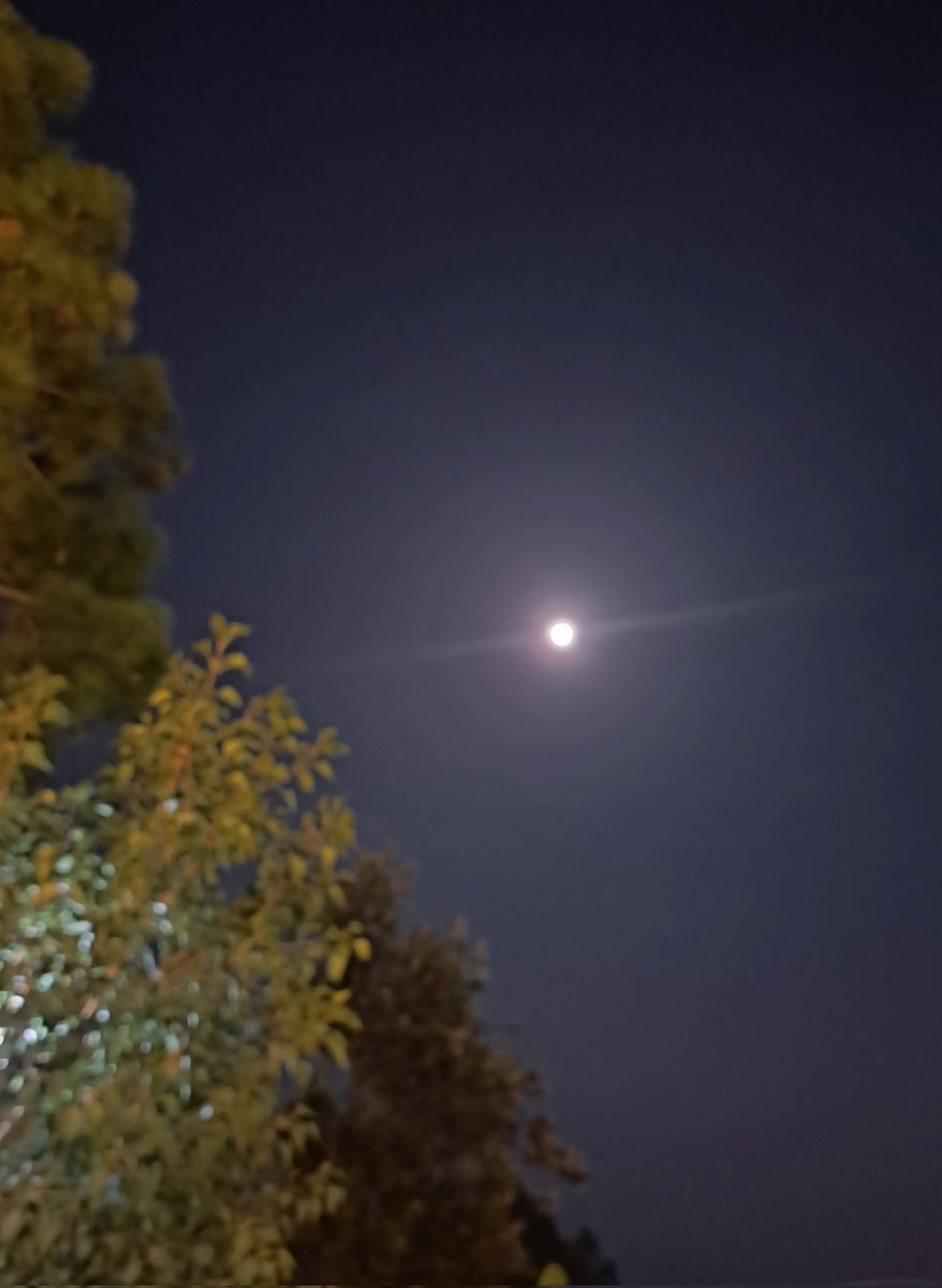 #FullMoonAfterEclipse #FullMoon

Good Night, Friends!✨️

#NaturePhotography #nature #sky
#NightPhotography #Nightsky #MoonLovers #MoonEclipse #moonlight  #lunareclipse2022 
#MOON