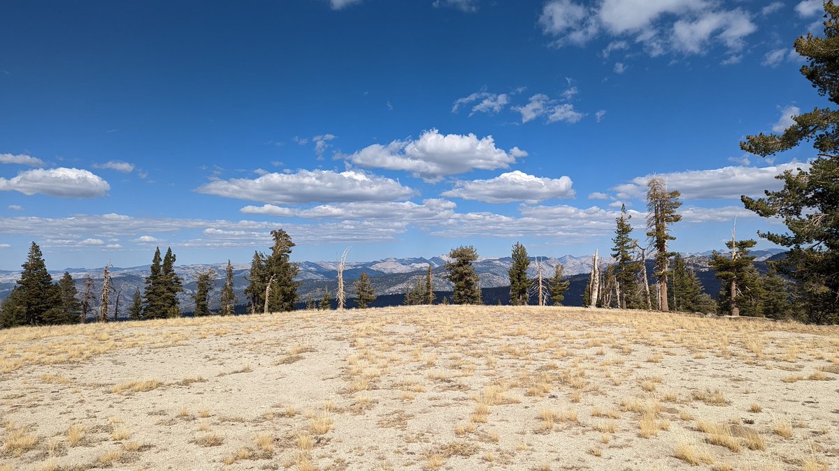 ham_bitious's tweet image. Yosemite #SOTA video! See KN6REU's first first activation. youtu.be/Jffb7Ll5leY