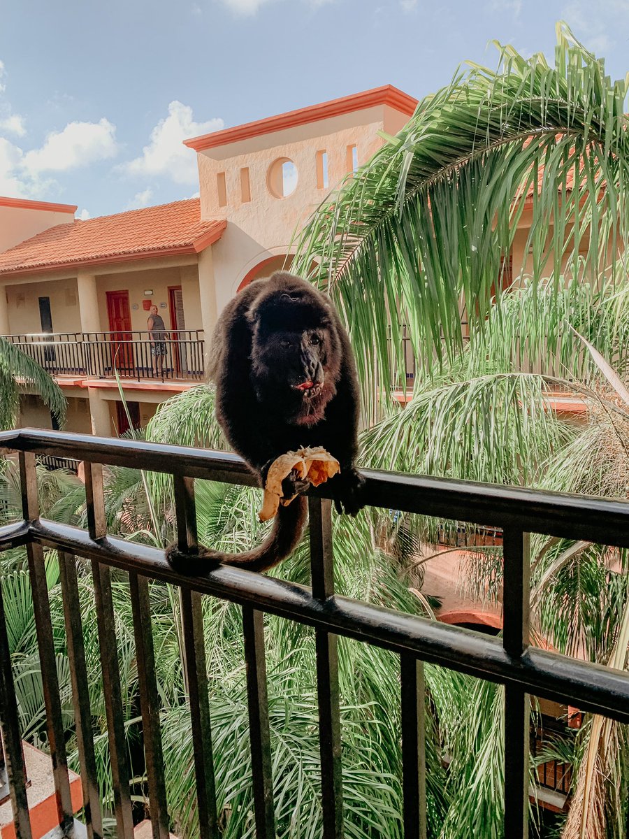 Hello everyone! I am back!

I had an amazing vacation but I missed you all ♥️

I have an exciting announcement soon! 😱🤫