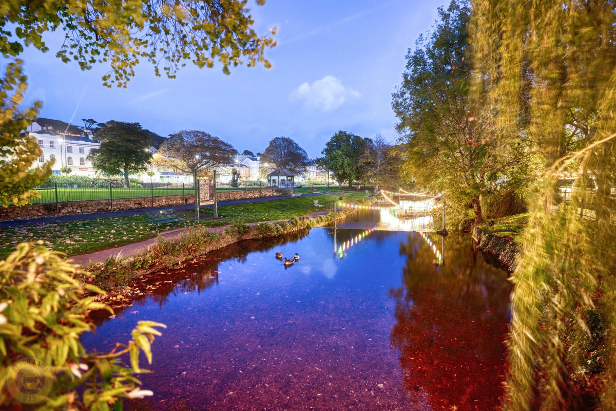 CoastCams247's tweet photo. Good evening. #dawlishbrook #dawlishwater #willowtrees https://t.co/TBpMGt2MlG