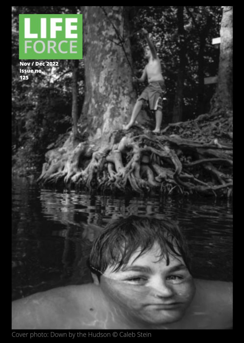 New Nov / Dec ISSUE OUT NOW
on lifeforcemagazine.com
#photography #Documentary #lifeforce #calebstein