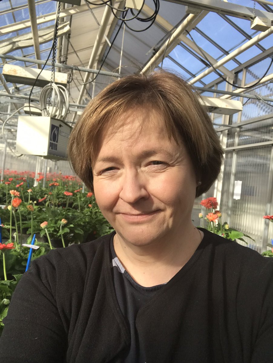vipu_ry's tweet photo. Puutarhaliiton kultainen ansiomerkki on myönnetty FT, professori Paula Elomaalle. https://t.co/WHPN7Q9DsA