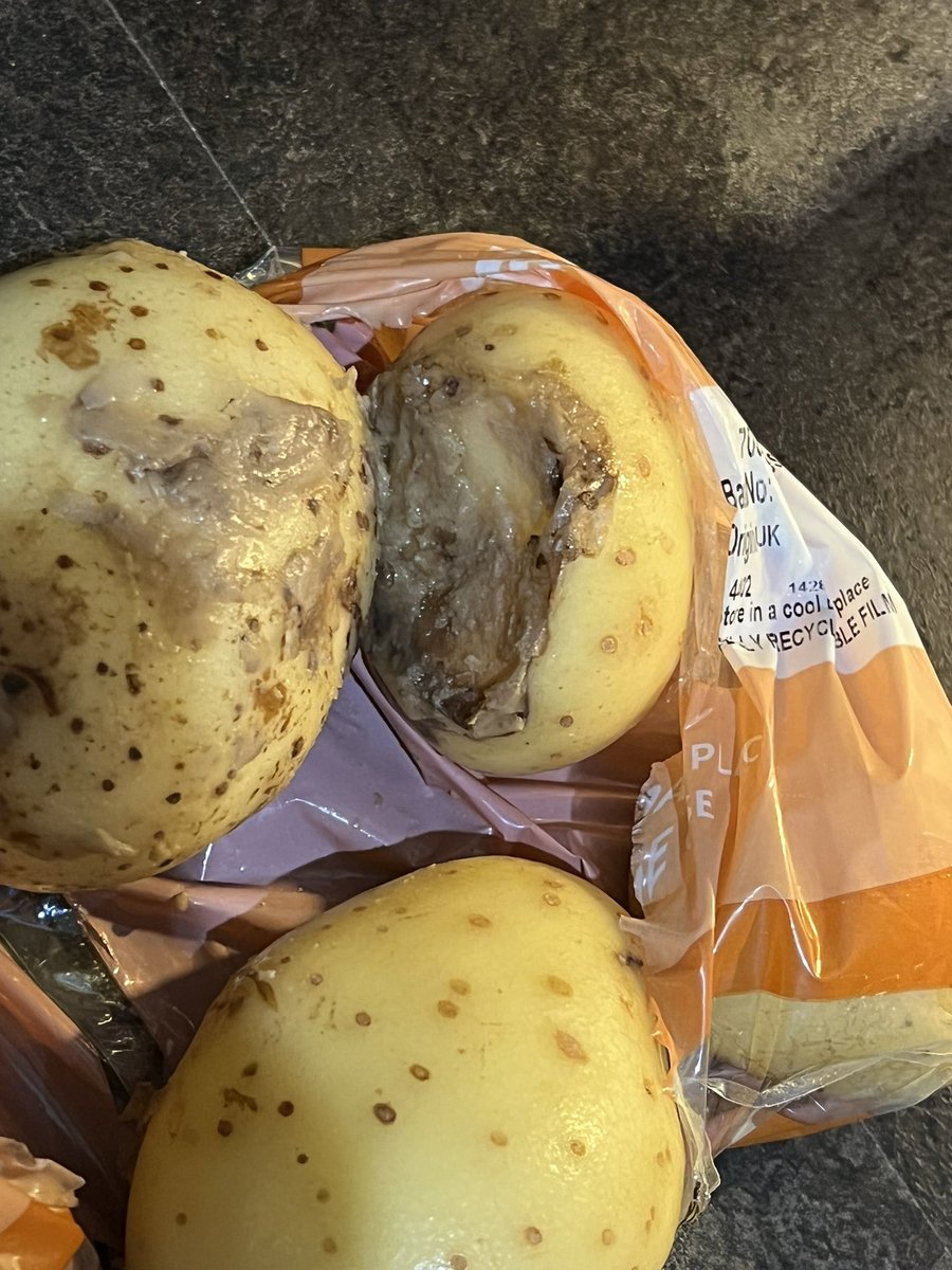 dony1986's tweet photo. @HelloFreshUK providing the freshest ingredients AGAIN! This has happened so many times. That was the last time! Disgusting 🤮 Another meal that we can’t complete. https://t.co/hmUV5h3Gzz