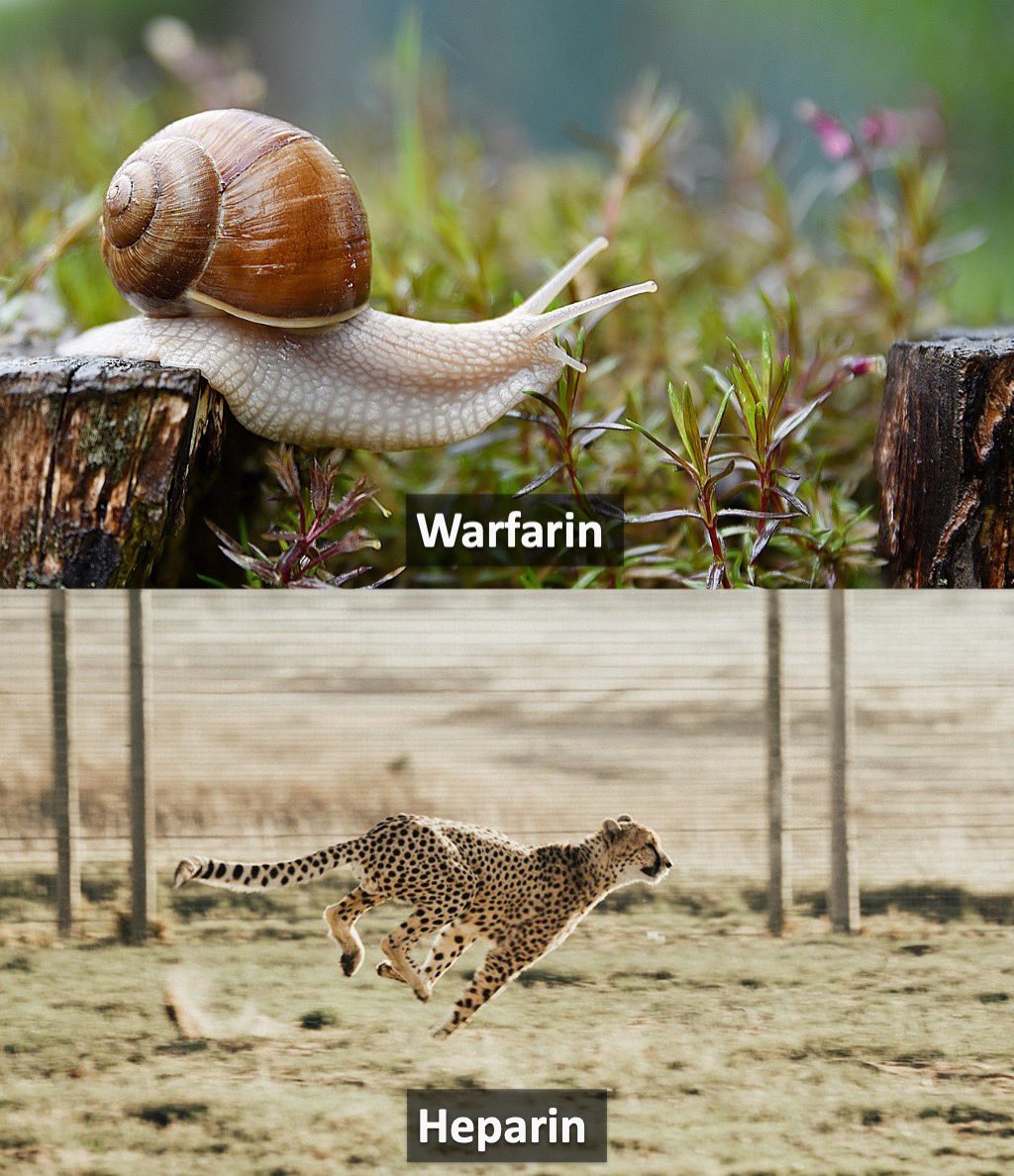 Classify Rx 📱 on Twitter: 