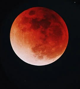 Quiz_bizz's tweet photo. Red Moon Day it is 🌙
Last Lunar Eclipse until 2025🌖 https://t.co/nLLyxxOUD3
