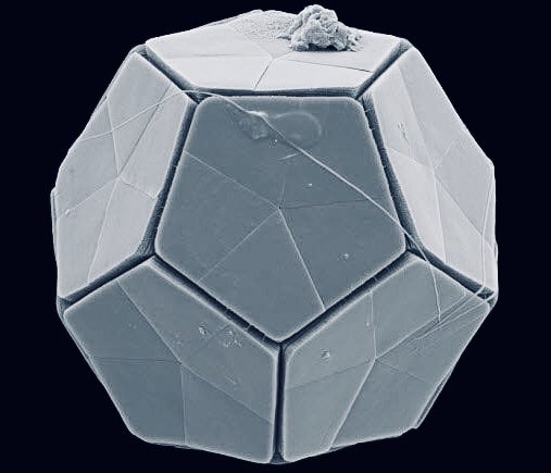 microscopicture's tweet photo. coccolithophore (unicellular alga) under the electron microscope https://t.co/za9SxoeHSR