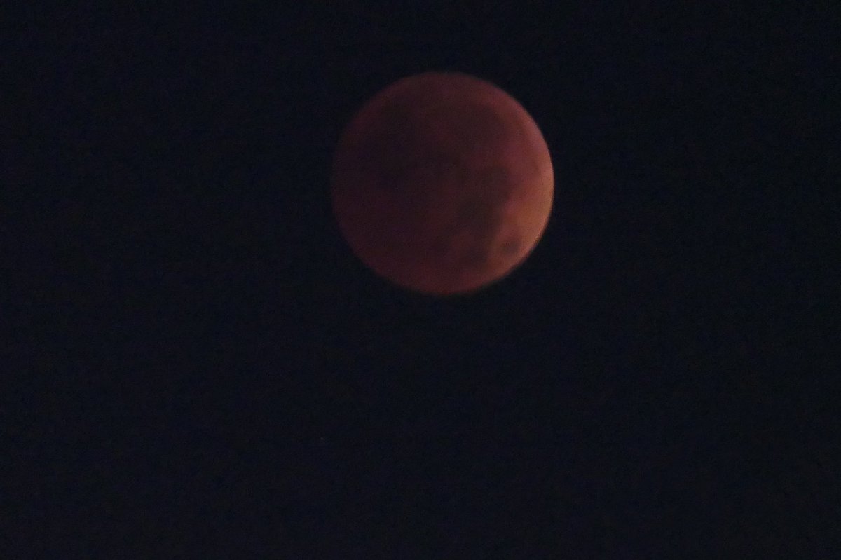 RelaxWithLuLu's tweet photo. The Lunar Eclipse Full “Blood” Moon…🖤
#relaxwithlulu #followme #love #life #beautiful #blog #blogger #goodevening #blessed #moon #moonlight #stars #fullmoon #moonlovers #nightsky #supermoon #loverofthenight #beaverfullmoon #beavermoon #bloodmoon #lunareclipse #beaverbloodmoon https://t.co/1uZFrID61I