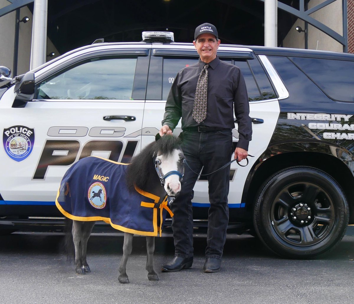 todayyearsold's tweet photo. This police department just added a miniature Therapy horse to its police force. Only in Florida. https://t.co/zFtHKHXq0D
