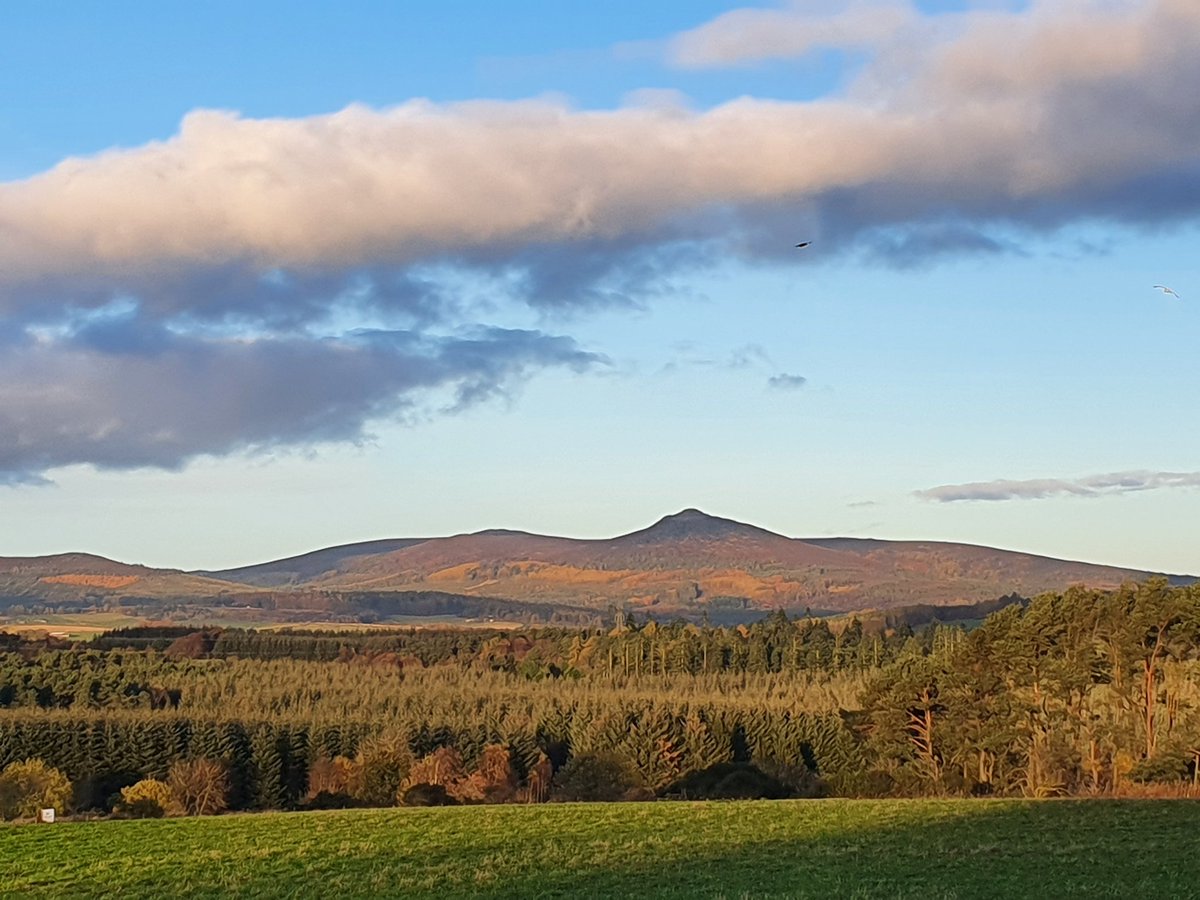 Daily_Bennachie's tweet photo. 08:25
8th November 2022 https://t.co/rJIfOZxsau