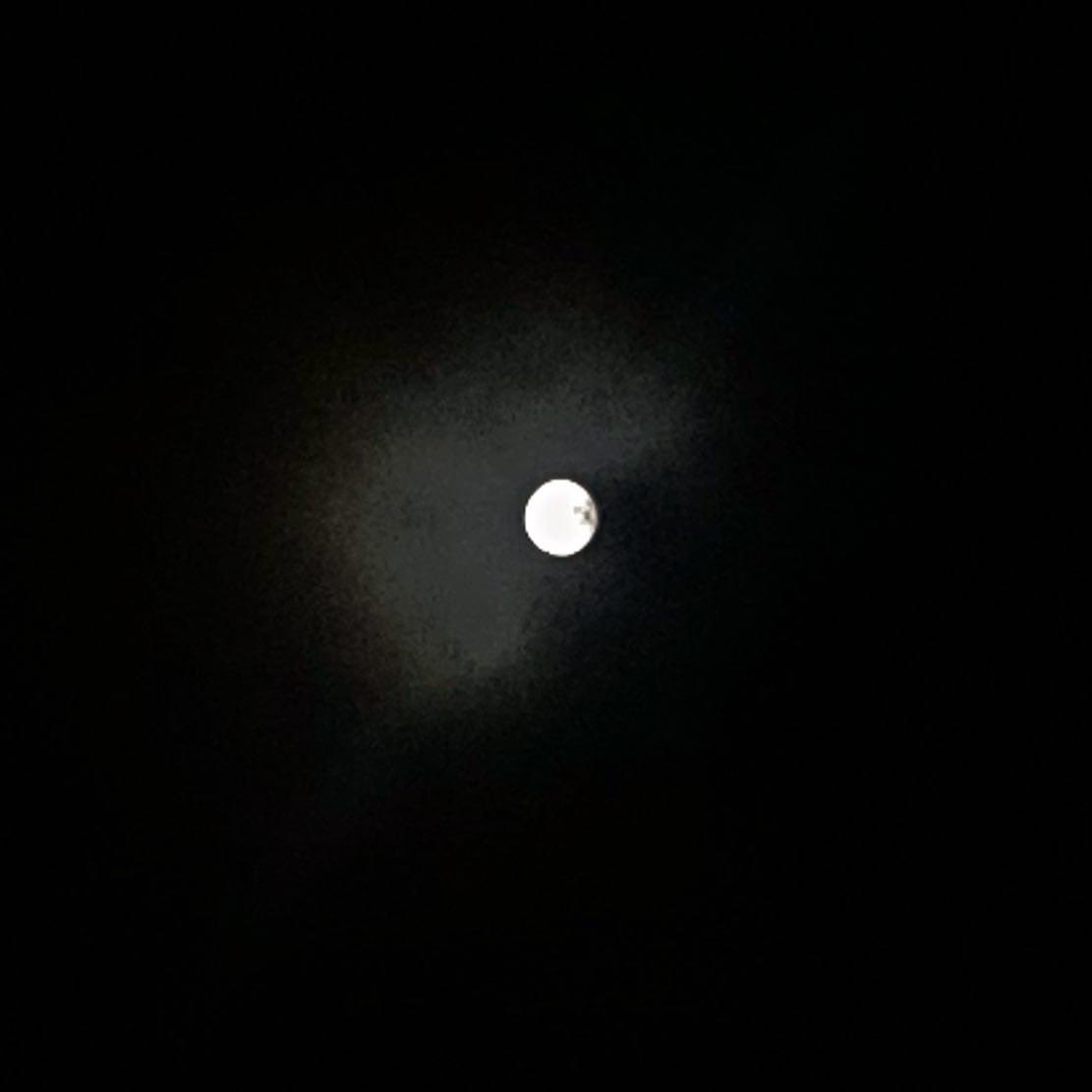 CaomhinCamshron's tweet photo. Full moon! 🌝 🌙 #fullmoon #BeaverBloodMoon #BeaverMoon https://t.co/iFe9oiRERf