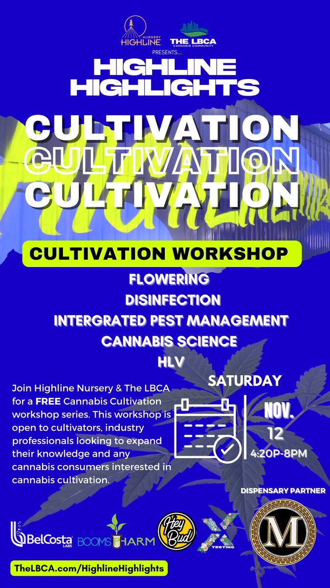 Long Beach Collective Association tweet media