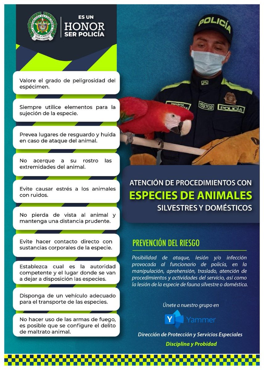 PoliciaBogota's tweet photo. ➡️#Prevención La Policía Metropolitana de Bogotá te invita a prevenir riesgos con animales 🐴domésticos y similares. Con el fin de dar una atención oportuna y segura en este tipo de acciones, 👇🏽 tenga en cuenta las siguientes recomendaciones. #DiosYPatria https://t.co/y9HioZLhJd