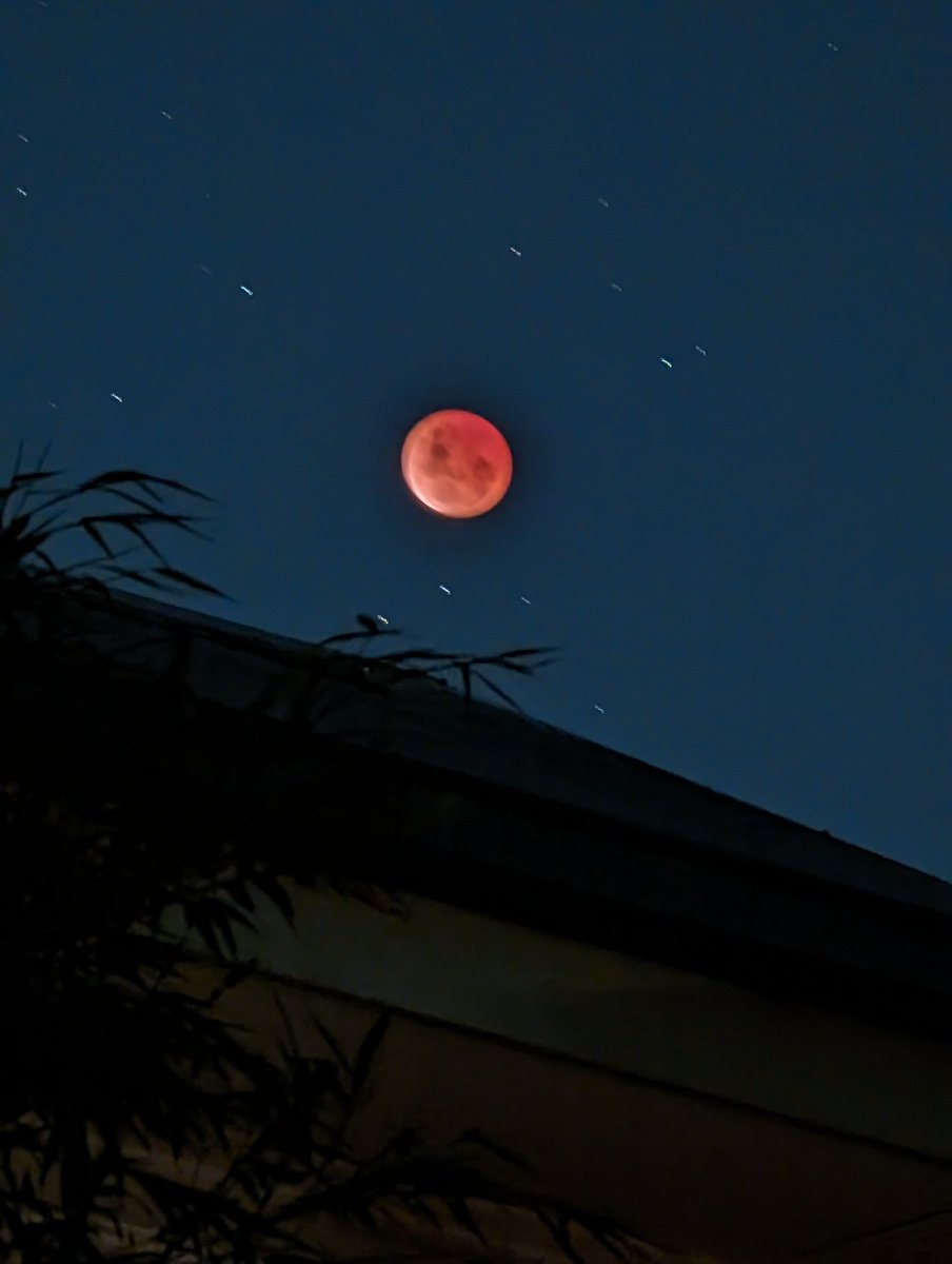 Conor Hogan tweet media