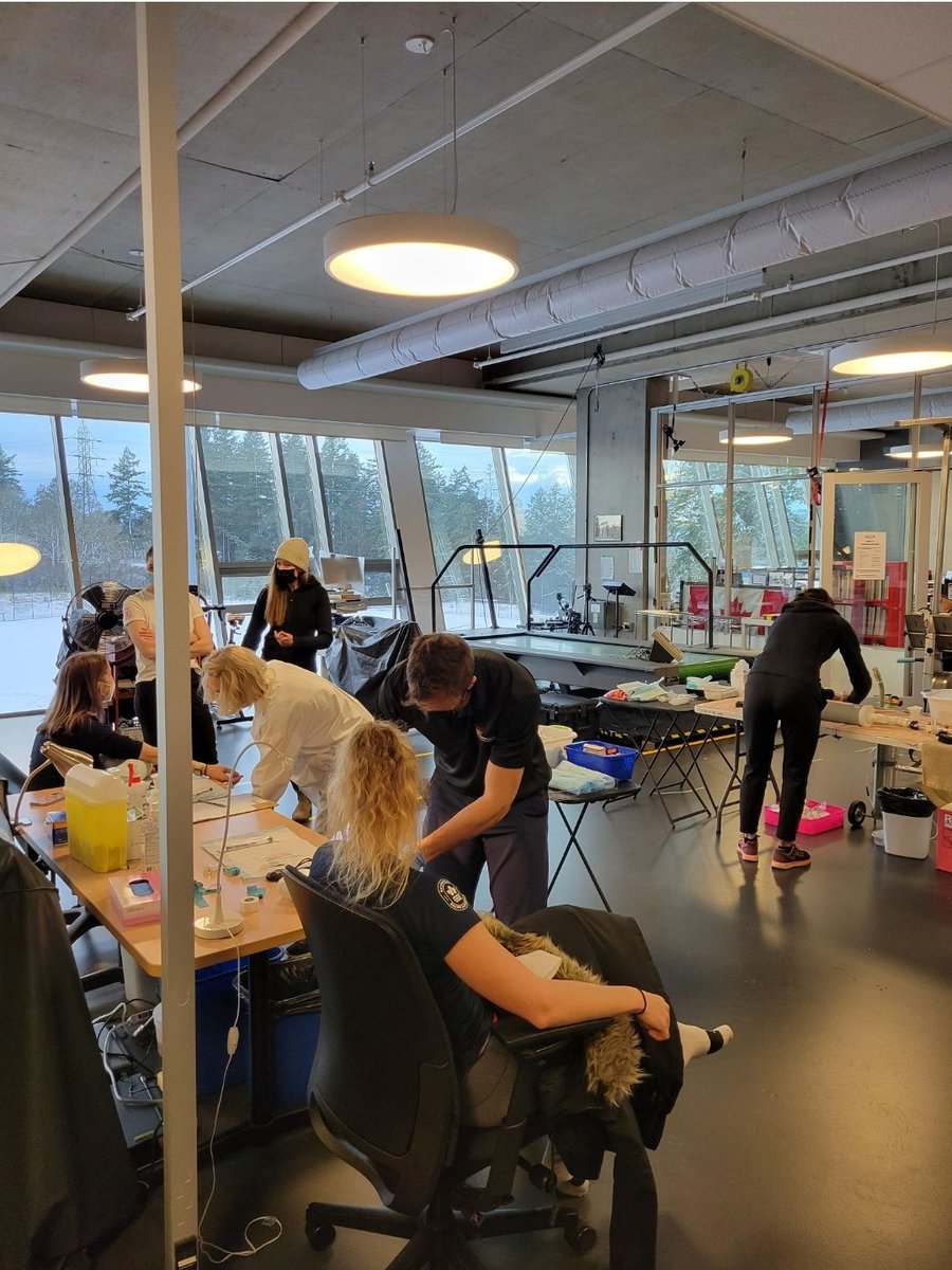 Wrapping up a productive few days of testing in Victoria with <a href="/kmathompson/">Kyle Thompson</a>. A great collaborative effort with our friends from the Canadian Sports Institute and Rowing Canada. Looking forward to seeing the results at post testing