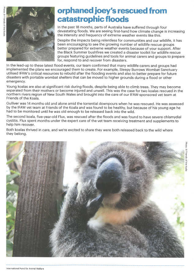 KHSRC1's tweet photo. After big #fires and #floods, we have more floods. #Wildlife, incl. #koalas suffer greatly. This 1, assisted by @ifawAU was lucky. More #flooding expected across the #eastcoast of #Aus this year 😥.
🐨🌿
#ClimateChange #WildlifeWednesday #NaturalDistasters #Australia #HumanCause https://t.co/MbbWr5Hhhr