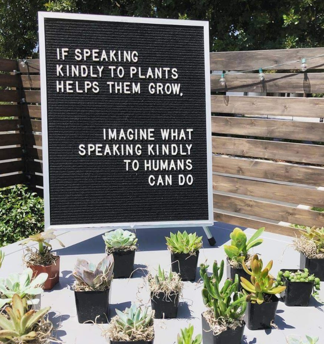 HobbyistPlant's tweet image. 