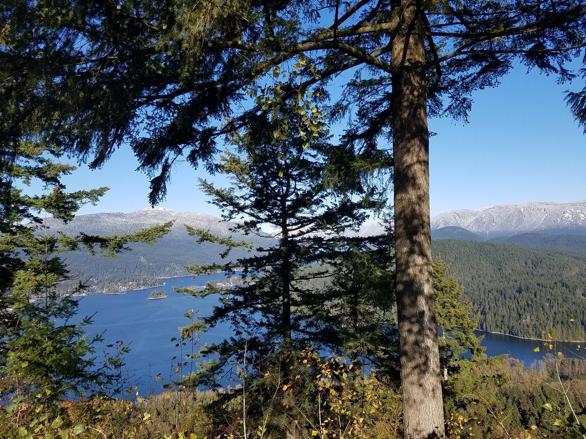 JanFromTheBruce's tweet photo. Surprise I'm in Vancouver BC with @Gordarnit #NovemberWedding https://t.co/BgN5j9TGYZ