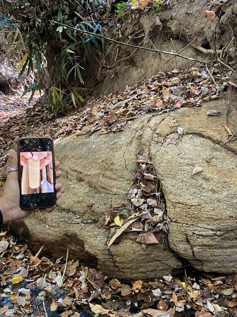 The morning was spent in the field looking at a cross bedded sandstone outcrop ~ 65ft below the drill site. 

What we found aligned well with our core sample from the same depth! 

#FieldGeology #GeothermalPotential @PeterEricMalin1 <a href="/DukeEnvironment/">Duke Environment</a> <a href="/DukeEngineering/">Duke Engineering</a> <a href="/geosociety/">geosociety</a>