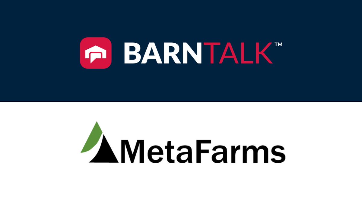barntools's tweet photo. The integration of #BarnTalk and #MetaFarms allows swine producers and management companies to access key data that can transform how they manage their production. 

🔗 Click to read more: https://t.co/9el7stlzws

#BarnTools #PigFarming #AgTech #Swine #Hogs https://t.co/CIjHOV9pPQ