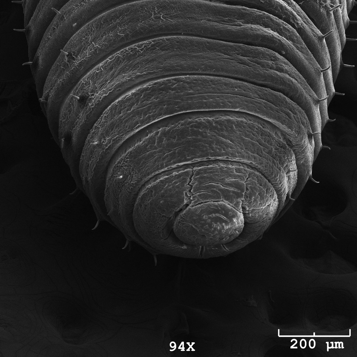 High Touch High Tech- Raleigh/Durham/Research Tri. tweet media