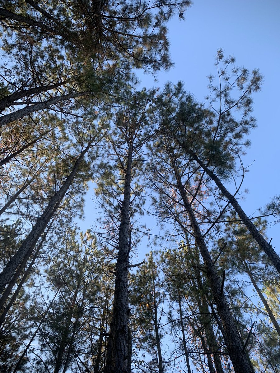 Stephen Tyler @stephentyler3 - Twitter Profile | Sotwe